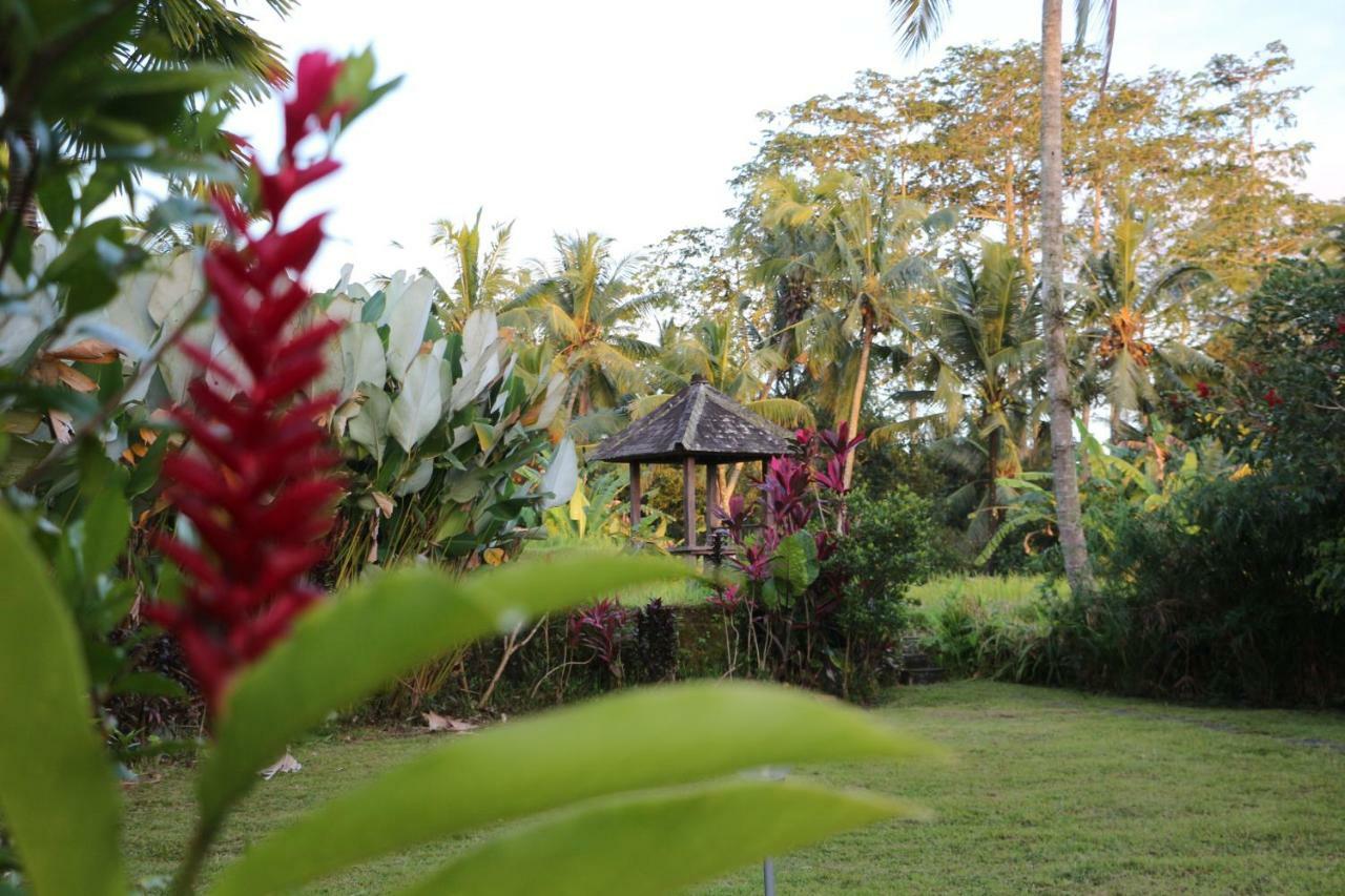 The Alise Villa Tegallalang (Bali) Exterior foto
