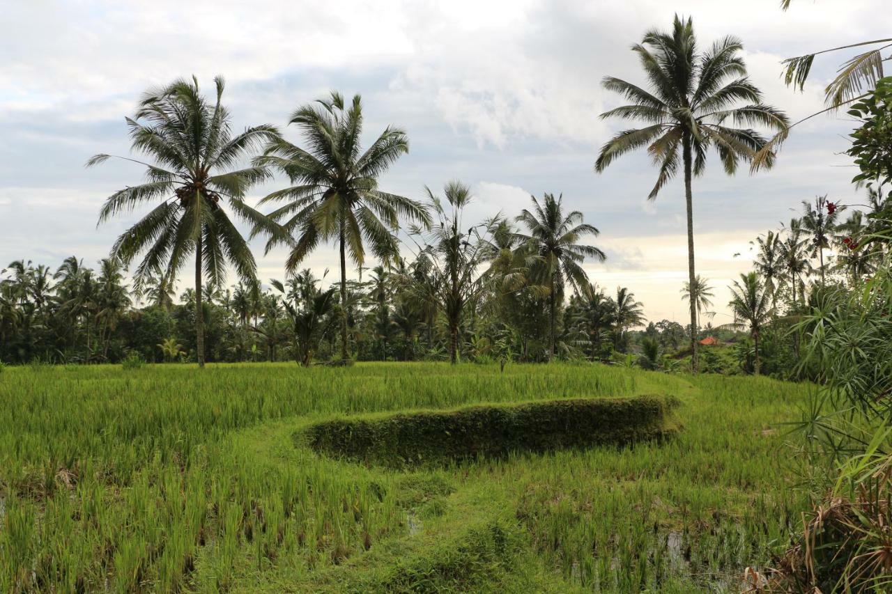 The Alise Villa Tegallalang (Bali) Exterior foto