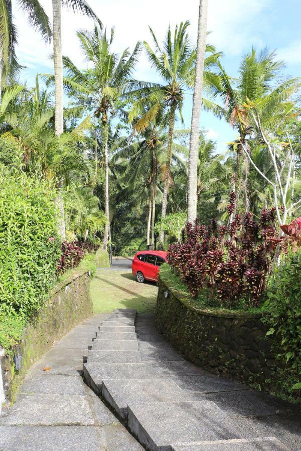The Alise Villa Tegallalang (Bali) Exterior foto