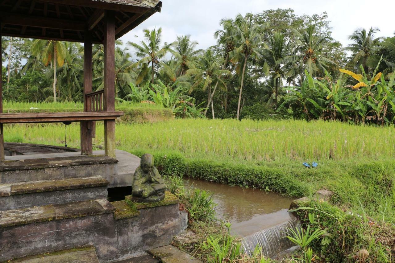 The Alise Villa Tegallalang (Bali) Exterior foto