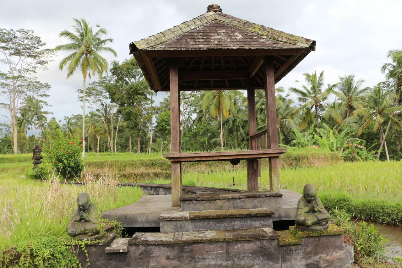 The Alise Villa Tegallalang (Bali) Exterior foto
