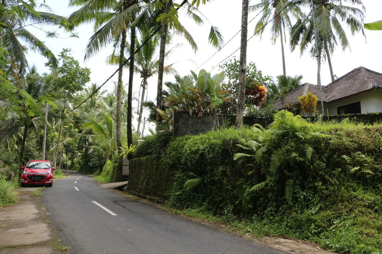 The Alise Villa Tegallalang (Bali) Exterior foto