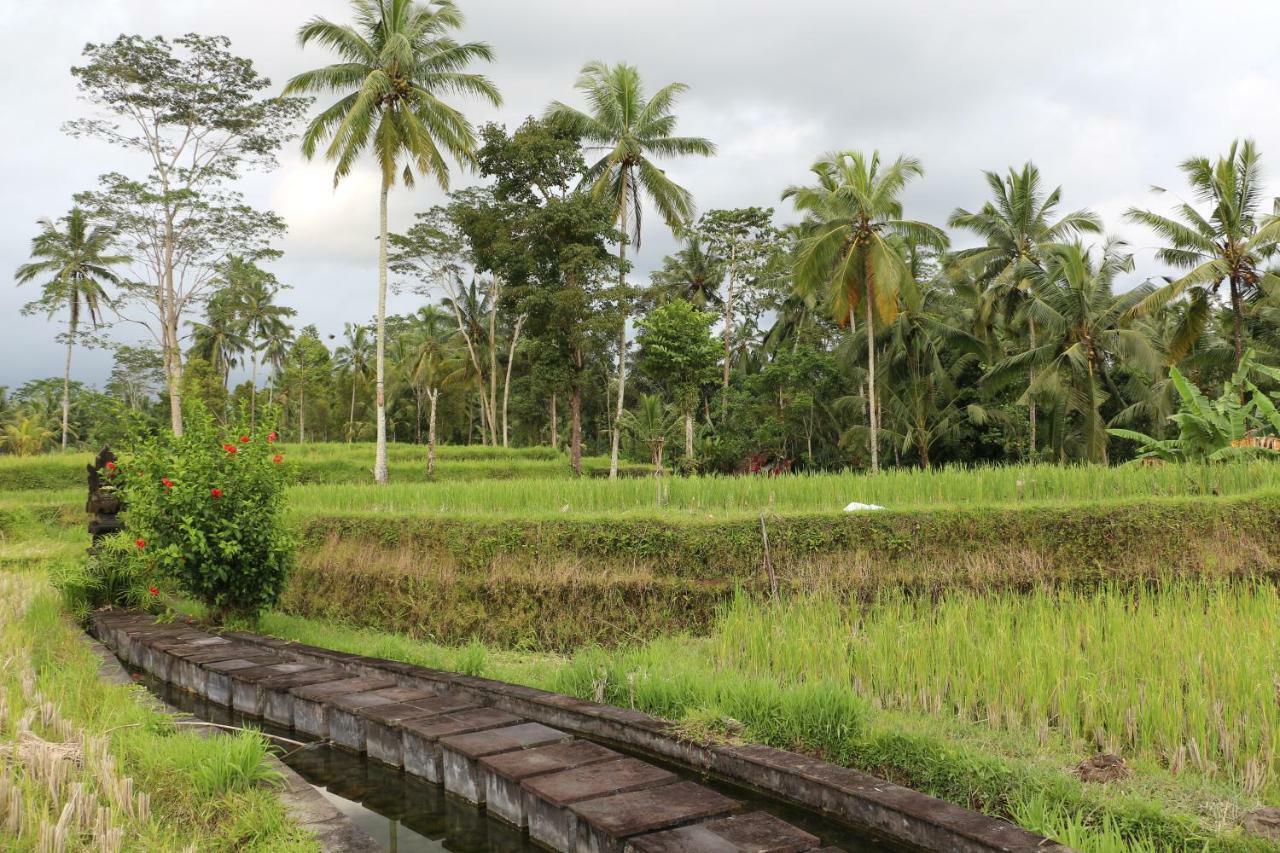The Alise Villa Tegallalang (Bali) Exterior foto