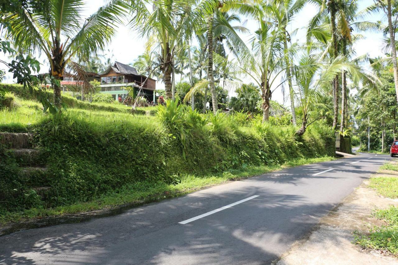 The Alise Villa Tegallalang (Bali) Exterior foto
