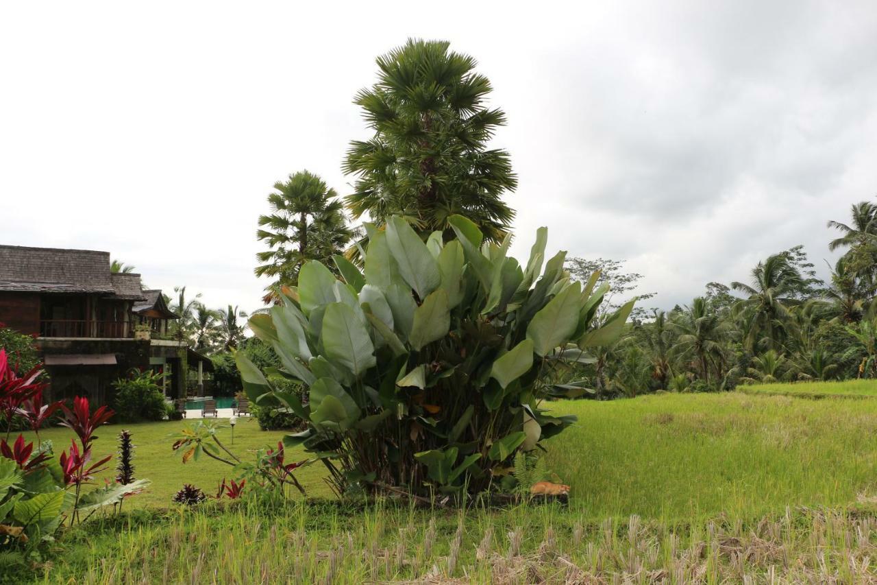The Alise Villa Tegallalang (Bali) Exterior foto