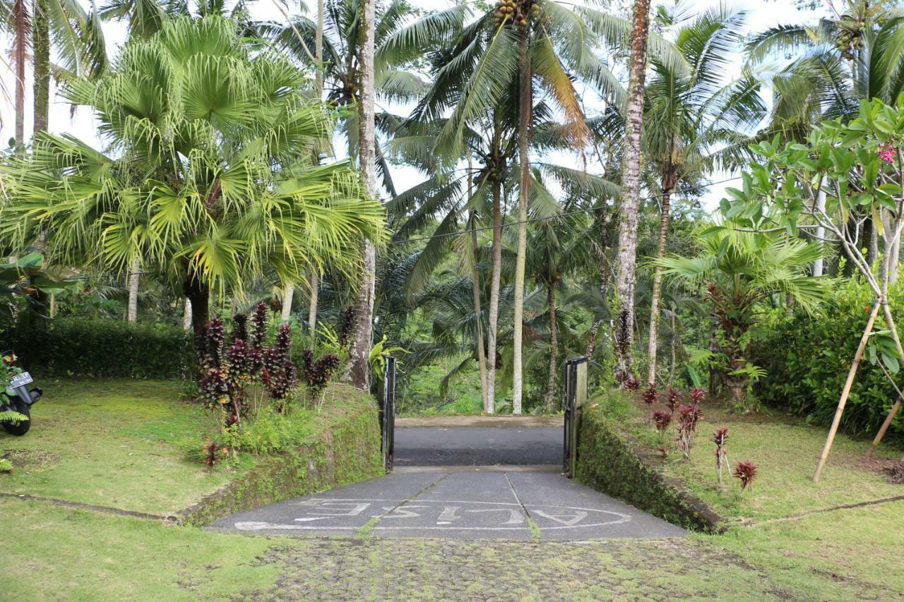 The Alise Villa Tegallalang (Bali) Exterior foto