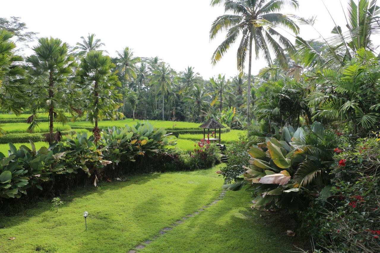 The Alise Villa Tegallalang (Bali) Exterior foto