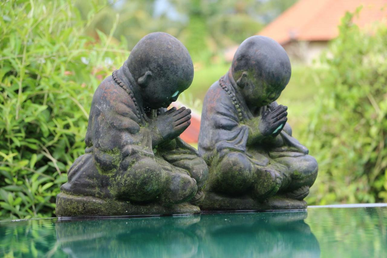 The Alise Villa Tegallalang (Bali) Exterior foto